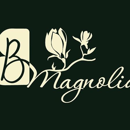 Casa Magnolia, Tranquilla E Centrale Apartment นิเคลิโน ภายนอก รูปภาพ